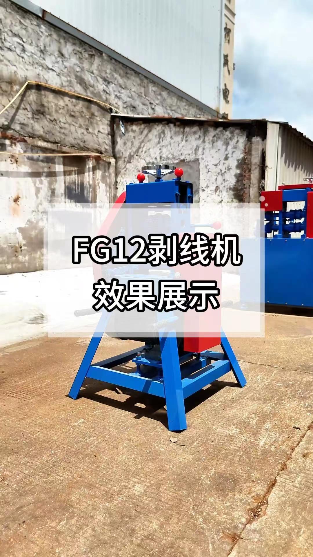 FG12效果展示